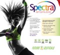 grafika spectra EN.jpg