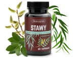 STAWY kadzidłowiec, wierzba, ashwagandha, sosna 60 kaps.