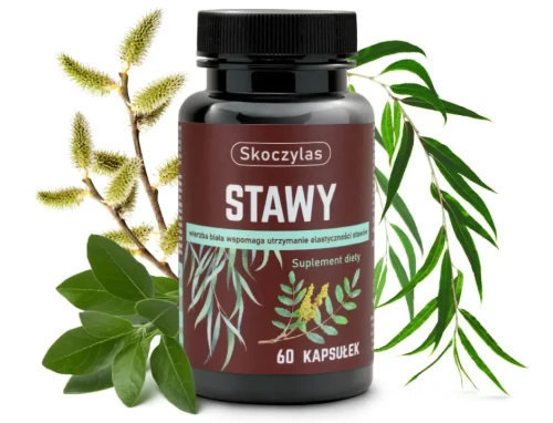 stawy_owoc_Skoczylas-60-kaps.webp