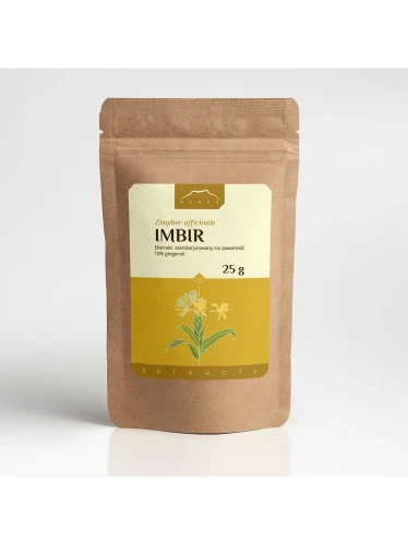 imbir-ekstrakt-atNDryzowany-25-g-nanga-10-%-gingeroli.webp