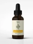 Artemisia annua nalewka 1:1 ( bylica roczna ) 50ml