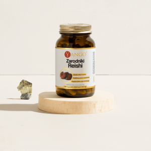 Zarodniki Reishi  100 kaps.
