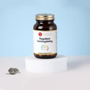 Regulator homocysteiny  90 kaps.