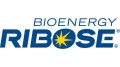 Bioenergy-SIC-Food-2013_news_large.jpg