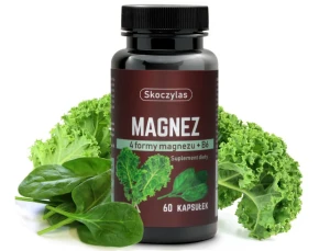 MAGNEZ 4 formy, witamina B6, szpinak, jarmuż 60 kaps.