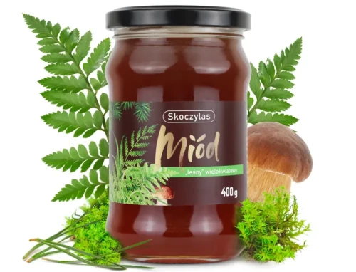 miod lesny owoc SKOCZYLAS (1).webp
