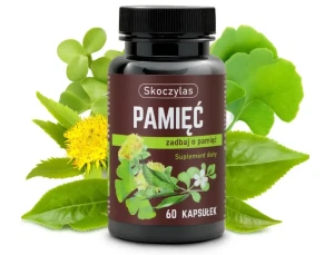 PAMIĘĆ miłorząb, bakopa, ginkgo biloba, różeniec 60 kaps.