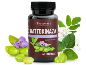 NATTOKINAZA 2000 FU 60 kaps.