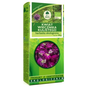 Wiecznik kulisty kwiat EKO 20 g