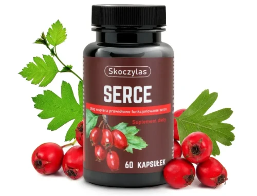 serce_owoc_SKOCZYLAS-60-kaps.webp