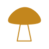 grzyb.png