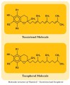 molecular.jpg