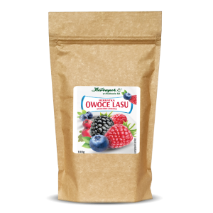 Herbatka OWOCE LASU 100g