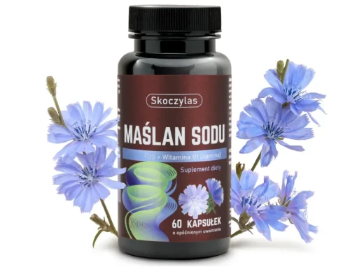 maslan sodu cykoria skoczylas.webp
