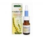 DZIEWANNA OLEJEK 15ml