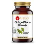 Ginkgo biloba - ekstrakt - 90 kapsułek