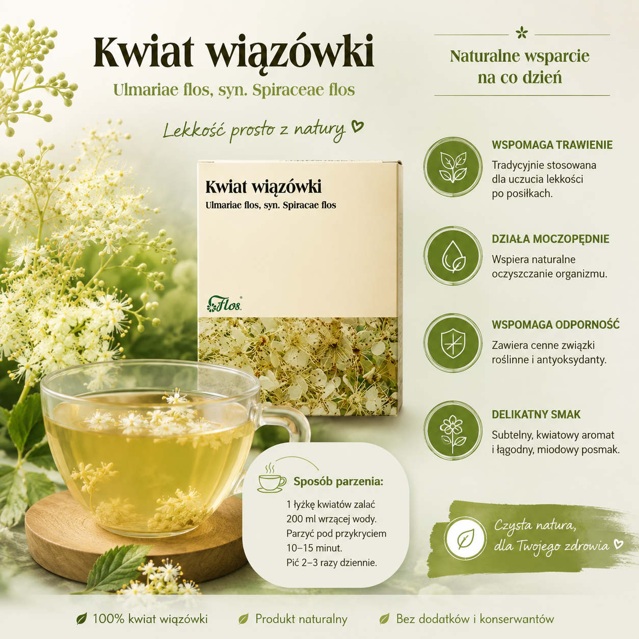 Wiązówka kwiat